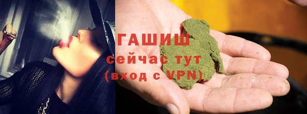 эйфоретик Бородино