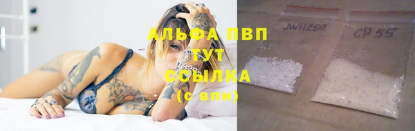 эйфоретик Бородино