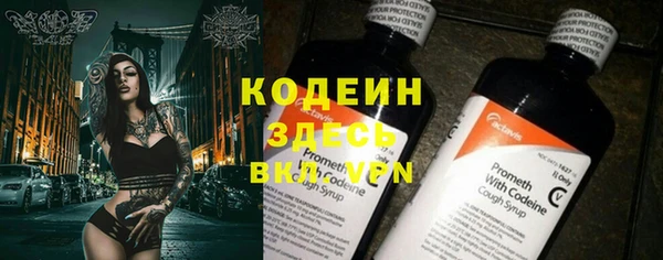 эйфоретик Бородино