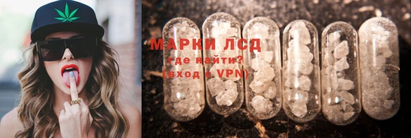 эйфоретик Бородино