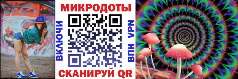 Галлюциногенные грибы Cubensis где найти наркотики Неман