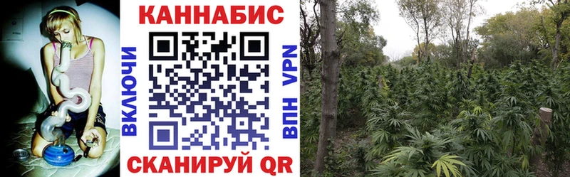OMG зеркало  Неман  Конопля тримм 